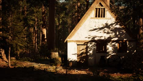Altes-Holzhaus-Im-Herbstwald